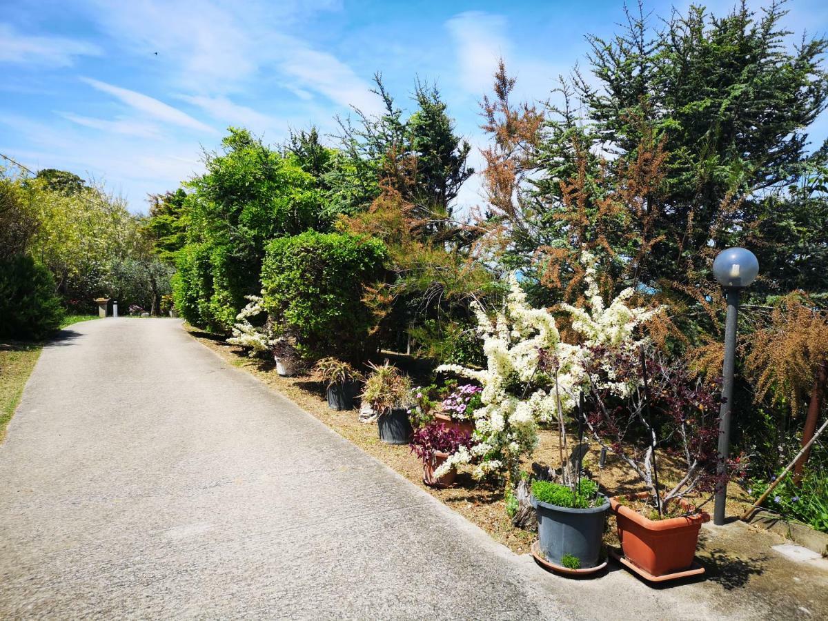 Vacanze Al Mare Appartamento In Villa Torino di Sangro Zewnętrze zdjęcie